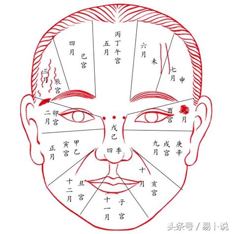 氣色面相|面相(氣色)